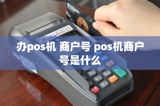 办pos机 商户号 pos机商户号是什么