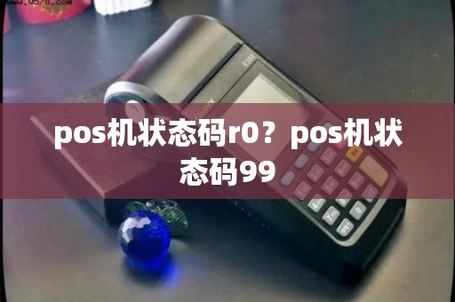 pos机状态码r0？pos机状态码99