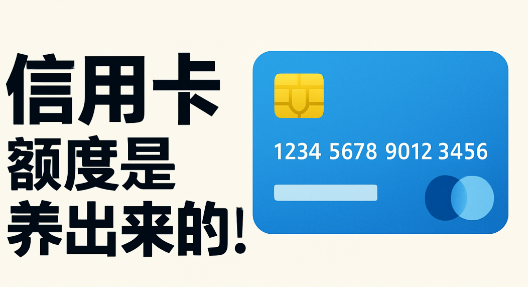 POS机官网：支付行业迎来震荡，存在信用卡套现行为的用户被禁止办理POS机！